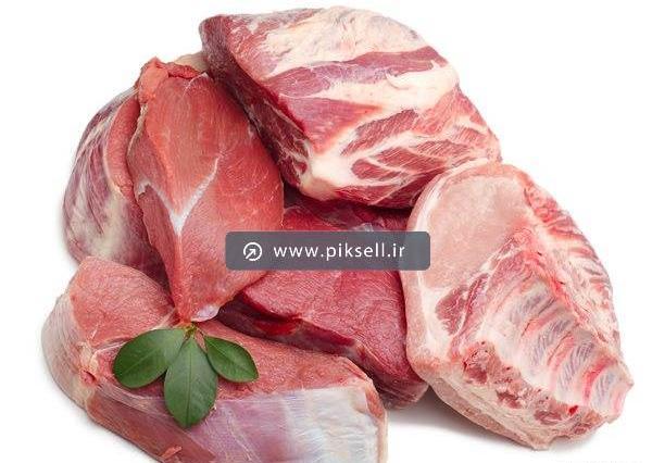عکس از ماهیچه گوسفندی