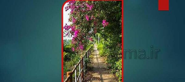 عکس منظره یاب پایه هفتم