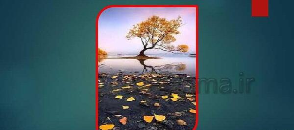 عکس منظره یاب پایه هفتم