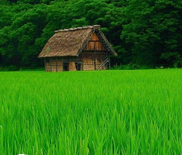 عکس از منظره های طبیعی