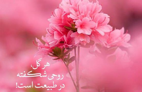عکس نوشته های منظره
