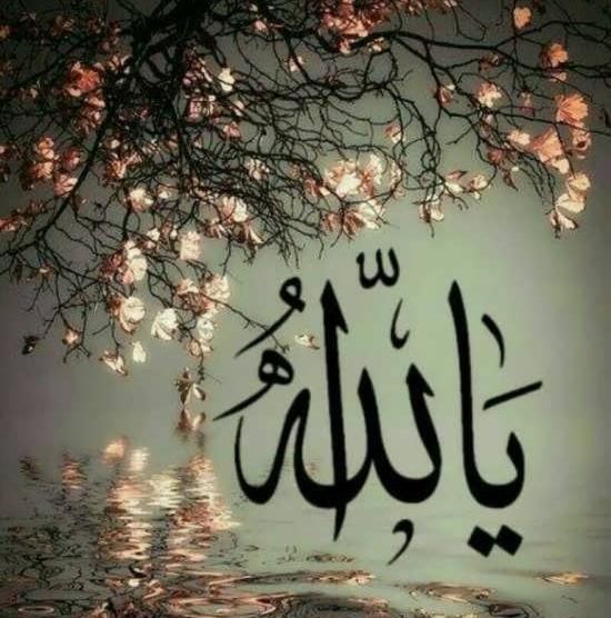 خدا عکس نوشته منظره برای پروفایل