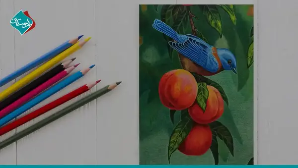 عکس نقاشی منظره با مداد رنگی