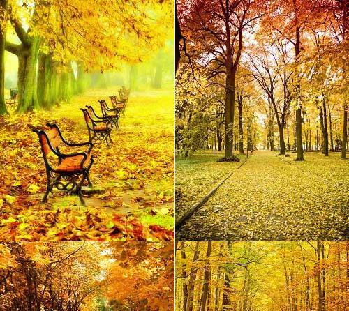 دانلود عکس منظره با کیفیت