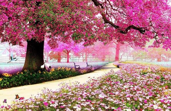 عکس منظره رویایی زیبا