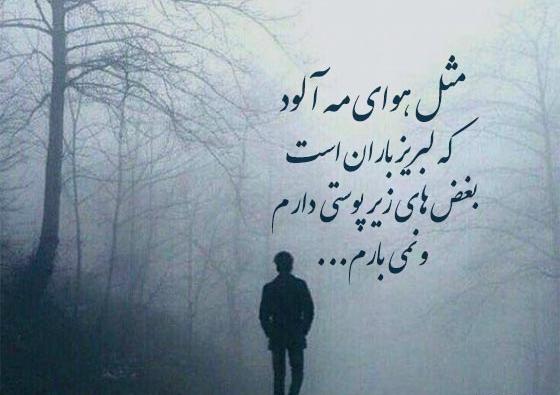 عکس منظره مه آلود