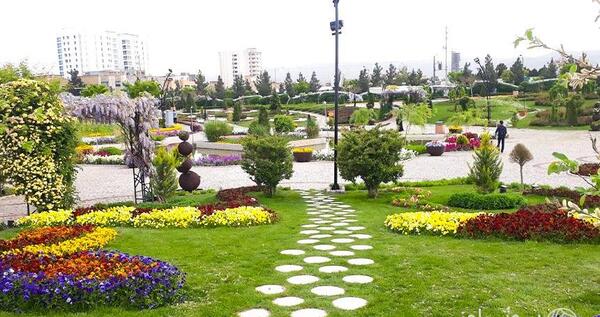 عکس منظره گل و گیاه