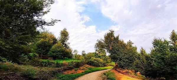 عکس منظره برای گوشی موبایل
