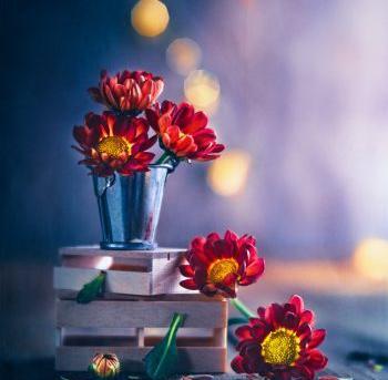عکس گل و منظره های زیبا