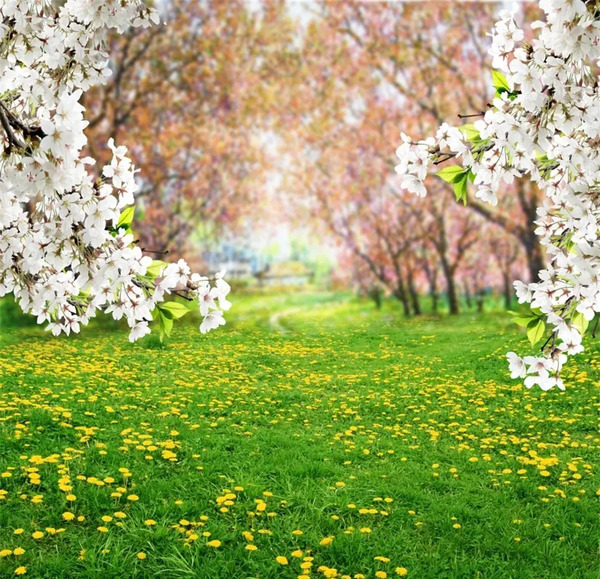 عکس منظره گل ها