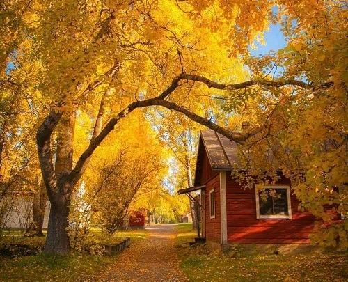 عکس پروفایل منظره رویایی