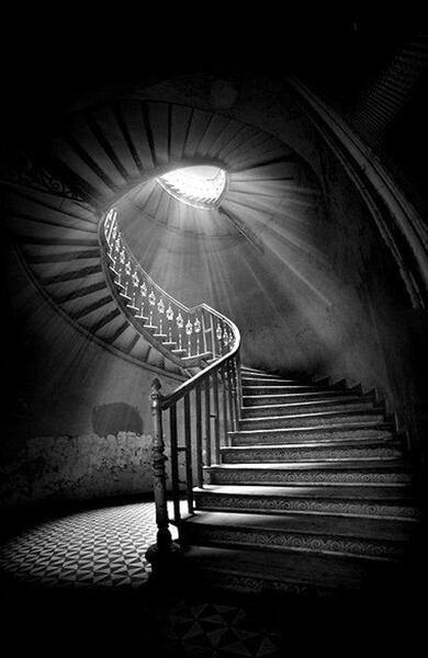 عکس منظره سیاه سفید با کیفیت بالا