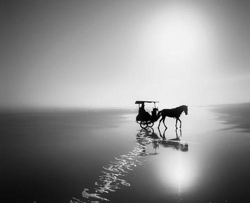 عکس منظره سیاه سفید با کیفیت بالا