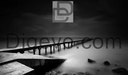 عکس منظره سیاه سفید hd