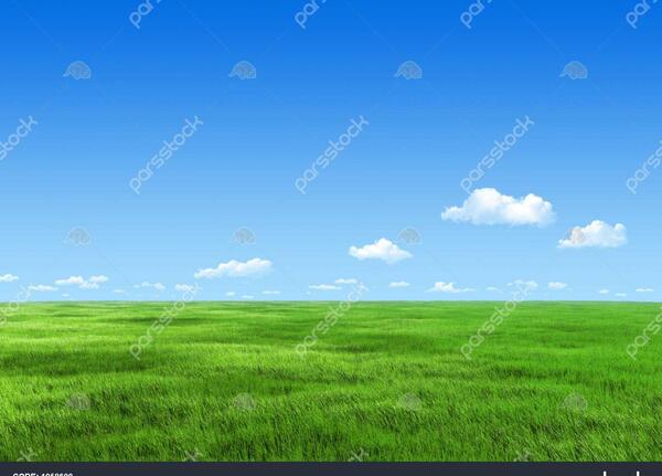 عکس منظره سبزه زار