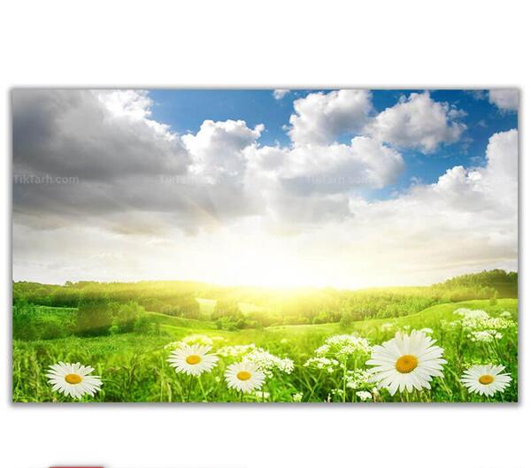 عکس منظره سبزه زار