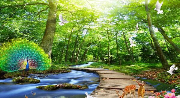 دانلود عکس منظره سرسبز