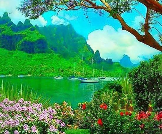 رویایی عکس پروفایل منظره عاشقانه