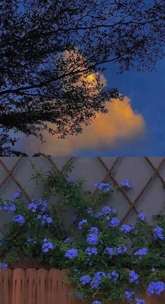 عکس منظره های طبیعت زیبا
