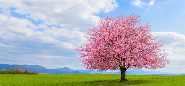 عکس منظره برای صفحه دسکتاپ