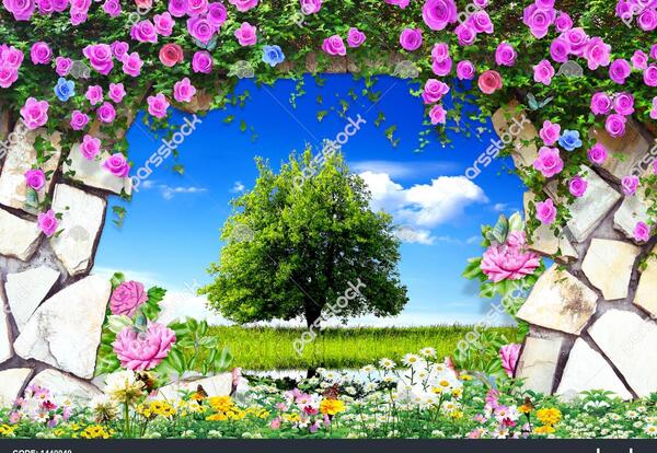 عکس منظره های صورتی