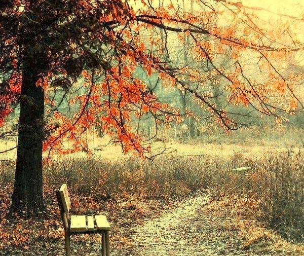 عکس از منظره زیبا برای صفحه گوشی