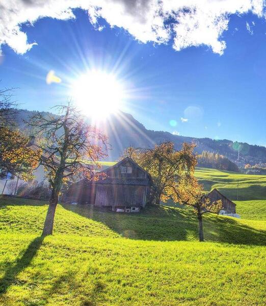 عکس منظره برای صبح بخیر