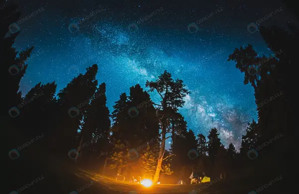 عکس از منظره شب