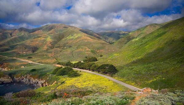 دانلود عکس منظره های سرسبز