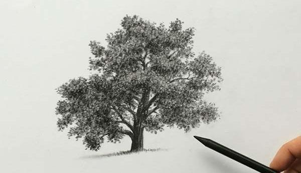 عکس های منظره ساده برای نقاشی