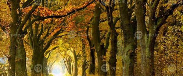 دانلود عکس منظره پاییزی زیبا