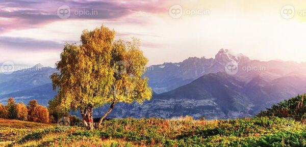 دانلود عکس منظره پاییزی زیبا