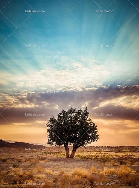 عکس منظره با درخت