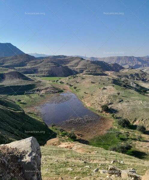 عکس منظره برکه و درخت