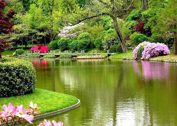 عکس منظره دریاچه