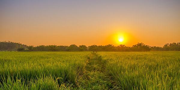 عکس از منظره خورشید