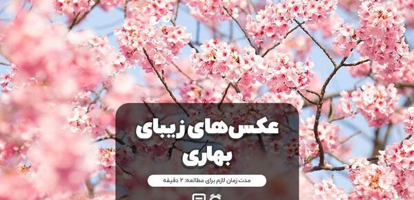 عکس منظره های خفن