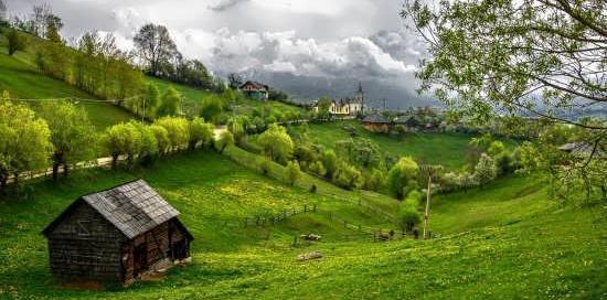 عکس منظره تابستانی برای پروفایل