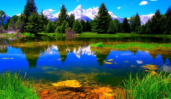عکس منظره تابستانی زیبا