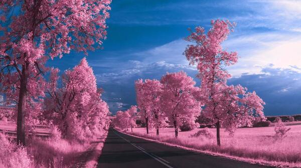 عکس های حرفه ای منظره