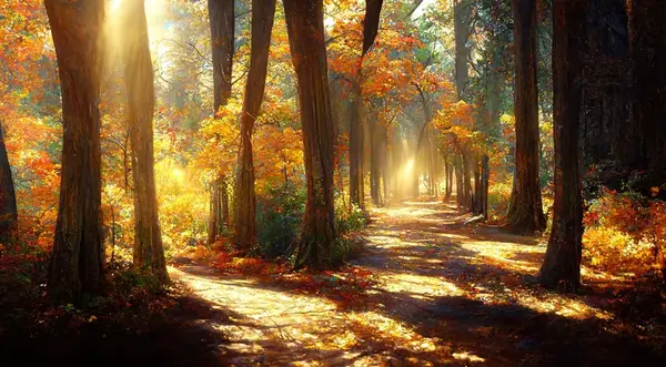 عکس منظره جنگل پاییزی