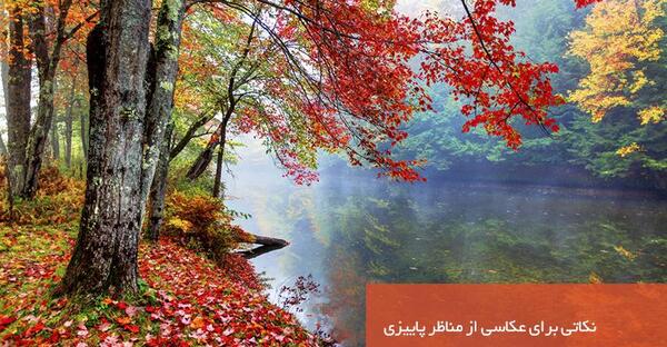 عکس منظره جنگل پاییزی