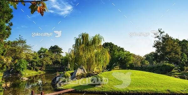 عکس منظره و جنگل