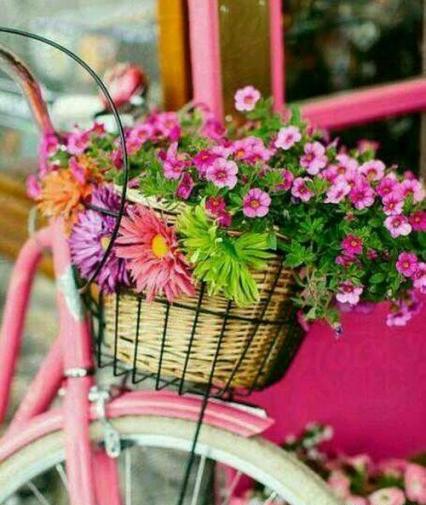 عکس منظره جدید زیبا