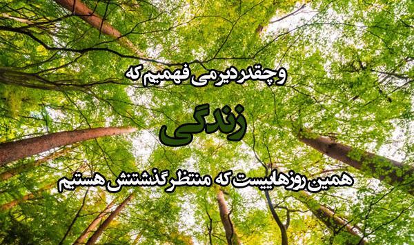 عکس جدید منظره برای پروفایل