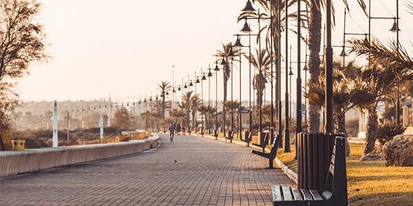 عکس پروفایل منظره تابستان