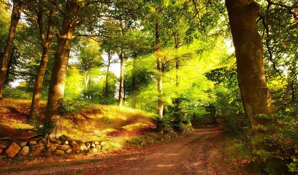 عکس پروفایل منظره تابستان