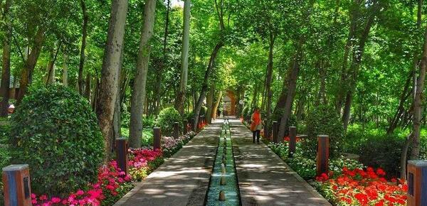 عکس منظره در تابستان