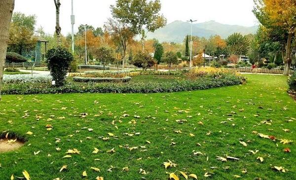 عکس از منظره پارک