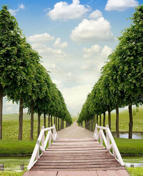 عکس از منظره پارک
